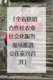 全省供销合作社农业社会化服务 现场推进会在泰兴召开
