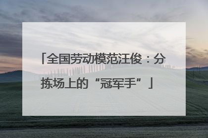 全国劳动模范汪俊：分拣场上的“冠军手”