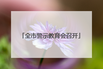 全市警示教育会召开