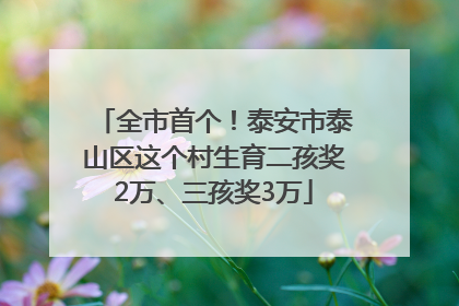 全市首个！泰安市泰山区这个村生育二孩奖2万、三孩奖3万