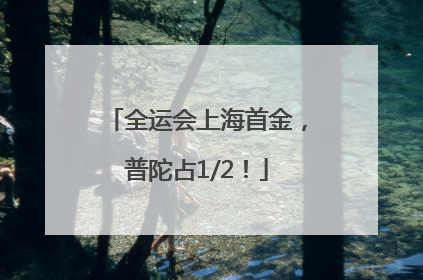 全运会上海首金，普陀占1/2！