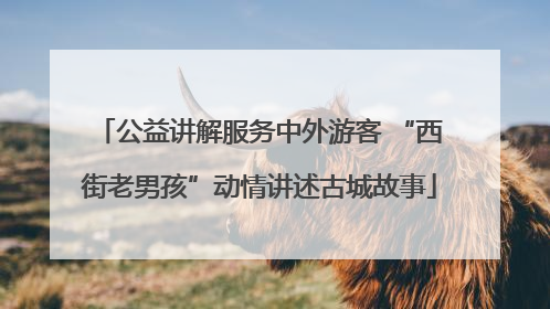 公益讲解服务中外游客 “西街老男孩”动情讲述古城故事