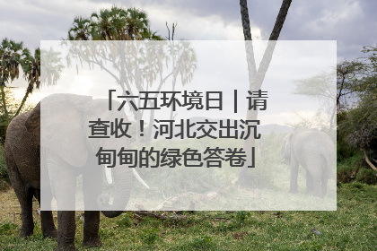 六五环境日｜请查收！河北交出沉甸甸的绿色答卷
