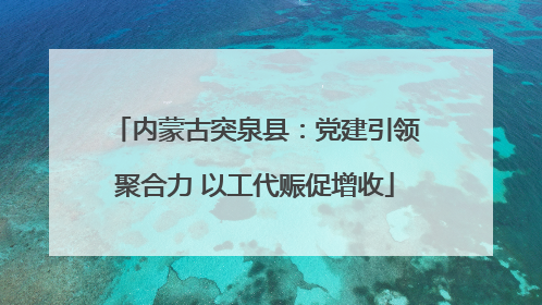 内蒙古突泉县：党建引领聚合力 以工代赈促增收