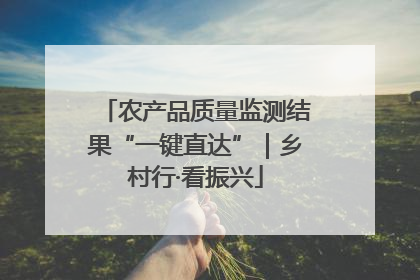 农产品质量监测结果“一键直达”｜乡村行·看振兴