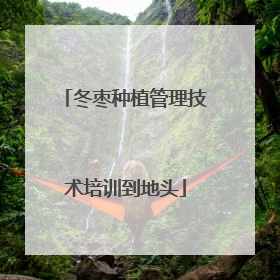 冬枣种植管理技术培训到地头