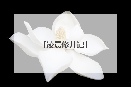 凌晨修井记
