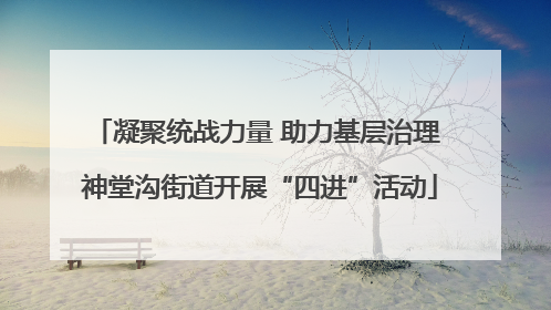 凝聚统战力量 助力基层治理 神堂沟街道开展“四进”活动