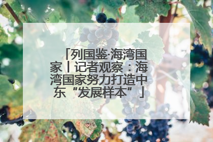 列国鉴·海湾国家丨记者观察：海湾国家努力打造中东“发展样本”