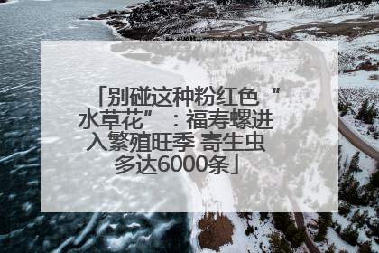 别碰这种粉红色“水草花”：福寿螺进入繁殖旺季 寄生虫多达6000条