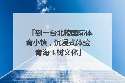 到丰台北粮国际体育小镇，沉浸式体验青海玉树文化