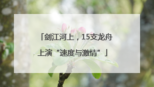 剑江河上，15支龙舟上演“速度与激情”