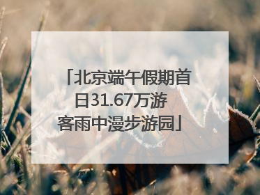 北京端午假期首日31.67万游客雨中漫步游园