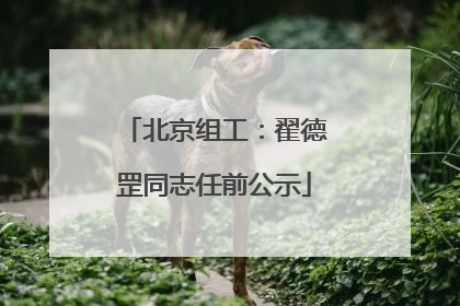 北京组工：翟德罡同志任前公示