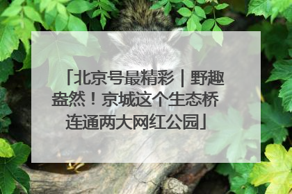 北京号最精彩｜野趣盎然！京城这个生态桥连通两大网红公园