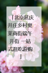 北京延庆井庄乡村奥莱商街端午开街 一站式逛吃游购