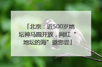 北京：近500岁地坛神马圈开放，网红“地坛的海”邀您尝