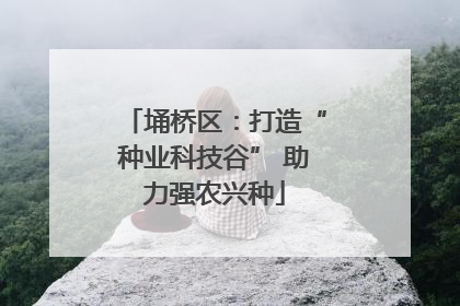 埇桥区：打造“种业科技谷” 助力强农兴种