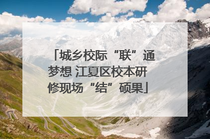 城乡校际“联”通梦想 江夏区校本研修现场“结”硕果