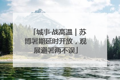 城事·战高温｜苏博暑期延时开放，观展避暑两不误