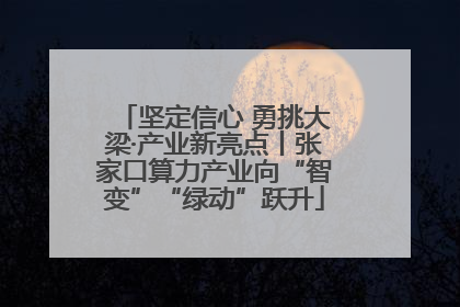 坚定信心 勇挑大梁·产业新亮点丨张家口算力产业向“智变”“绿动”跃升