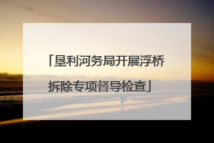 垦利河务局开展浮桥拆除专项督导检查