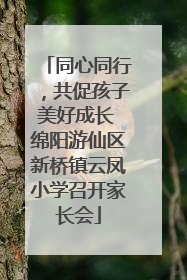 同心同行，共促孩子美好成长 绵阳游仙区新桥镇云凤小学召开家长会