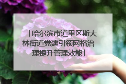 哈尔滨市道里区斯大林街道党建引领网格治理提升管理效能