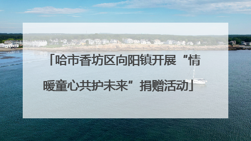 哈市香坊区向阳镇开展“情暖童心共护未来”捐赠活动