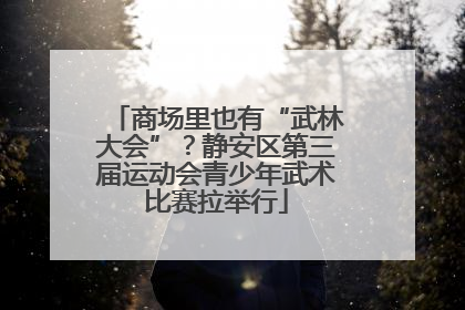 商场里也有“武林大会”？静安区第三届运动会青少年武术比赛拉举行