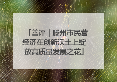 善评｜滕州市民营经济在创新沃土上绽放高质量发展之花