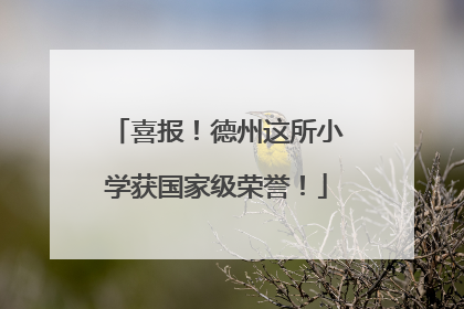 喜报！德州这所小学获国家级荣誉！