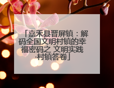 嘉禾县晋屏镇：解码全国文明村镇的幸福密码之 文明实践·村镇答卷