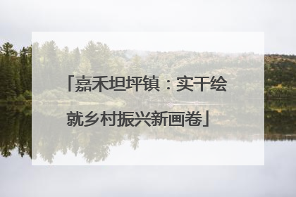 嘉禾坦坪镇：实干绘就乡村振兴新画卷