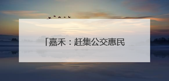 嘉禾：赶集公交惠民行 一元票价暖民心