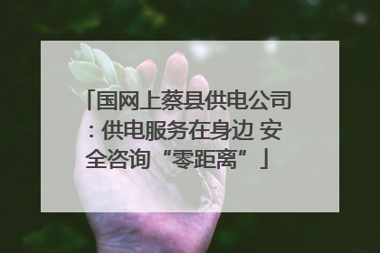 国网上蔡县供电公司：供电服务在身边 安全咨询“零距离”