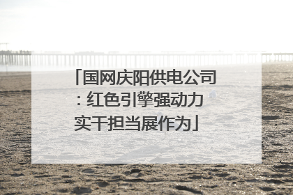 国网庆阳供电公司：红色引擎强动力 实干担当展作为