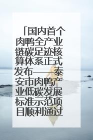 国内首个肉鸭全产业链碳足迹核算体系正式发布——泰安市肉鸭产业低碳发展标准示范项目顺利通过验收