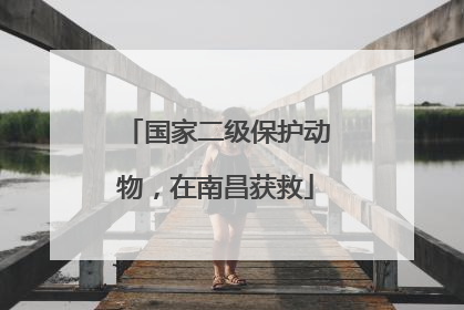国家二级保护动物，在南昌获救