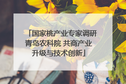 国家桃产业专家调研青岛农科院 共商产业升级与技术创新