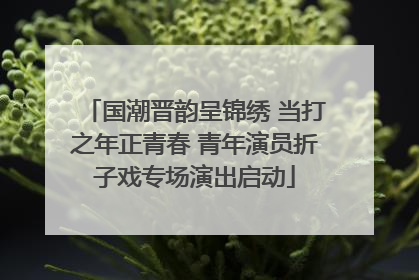 国潮晋韵呈锦绣 当打之年正青春 青年演员折子戏专场演出启动