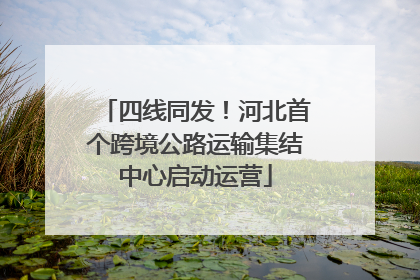 四线同发！河北首个跨境公路运输集结中心启动运营