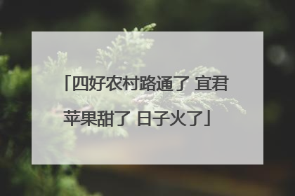 四好农村路通了 宜君苹果甜了 日子火了