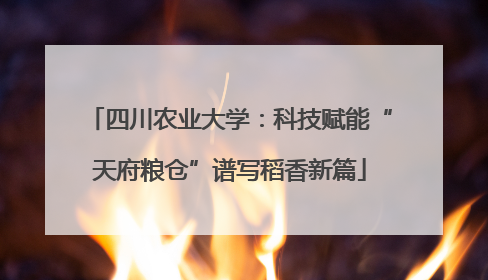 四川农业大学:科技赋能“天府粮仓”谱写稻香新篇