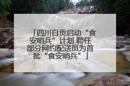 四川自贡启动“食安哨兵”计划 聘任部分网约配送员为首批“食安哨兵”