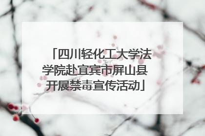 四川轻化工大学法学院赴宜宾市屏山县开展禁毒宣传活动