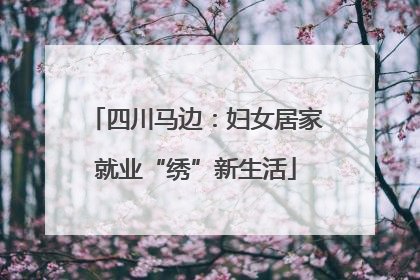 四川马边：妇女居家就业“绣”新生活