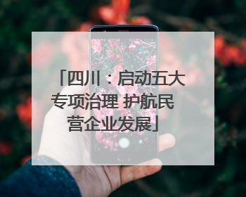 四川：启动五大专项治理 护航民营企业发展