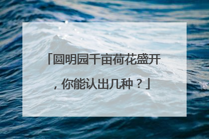 圆明园千亩荷花盛开，你能认出几种？