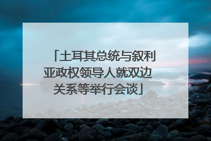 土耳其总统与叙利亚政权领导人就双边关系等举行会谈